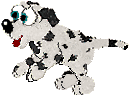 sweet dalmatian