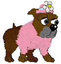 Fancy Bulldogz!