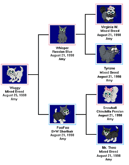 Petz Family Tree