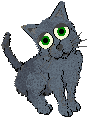russian blue
