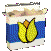 seeds