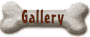 gallery.gif 