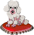 poodle06.gif (4494 bytes)