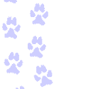 lilac2.gif (3311 bytes)